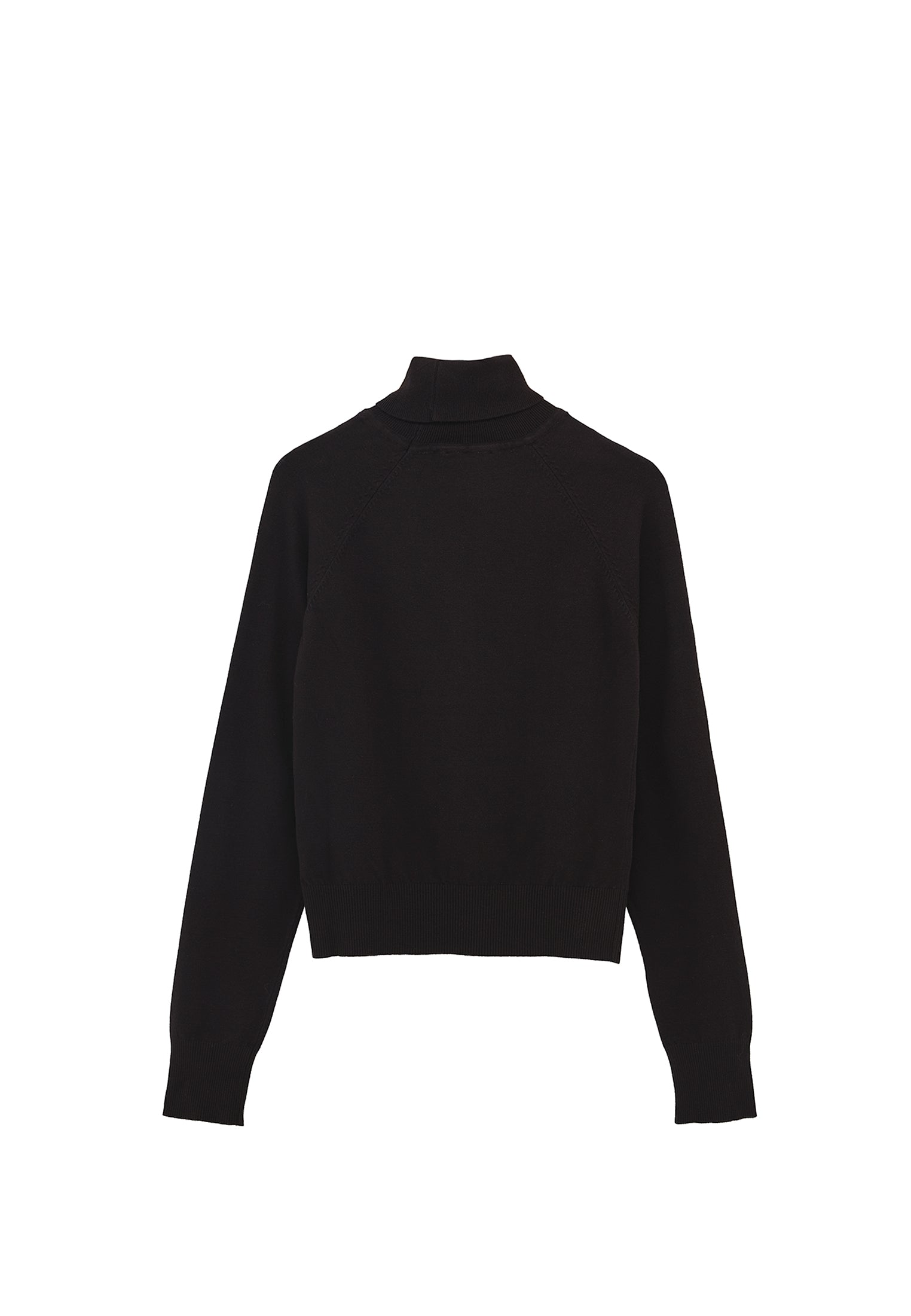 Slim Fit Turtleneck Knitwear - BLACK