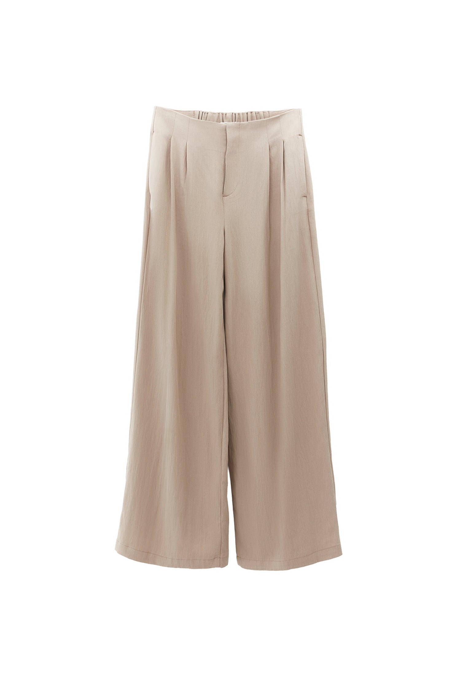 Pleated Wide Leg Pants - SIMPLY TAUPE